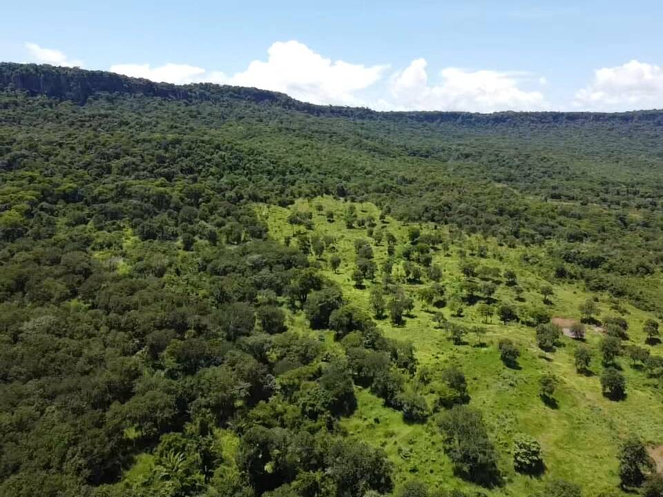 Sítio, 30 m² - Foto 5