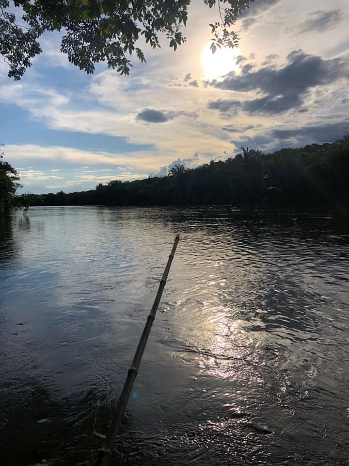 Sítio, 2 quartos, 12 m² - Foto 3