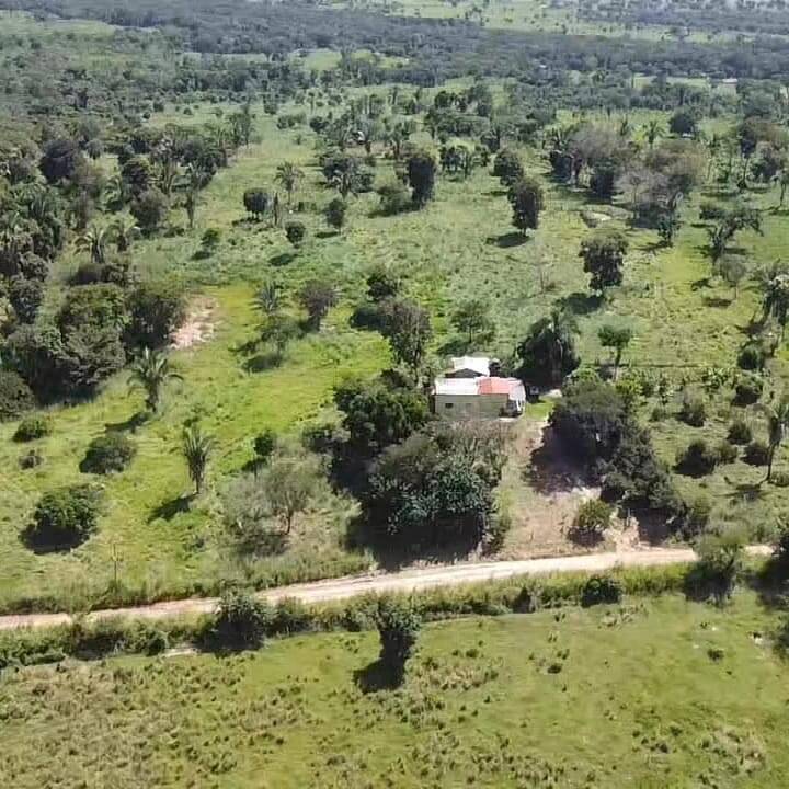 Sítio, 2 quartos, 12 m² - Foto 19