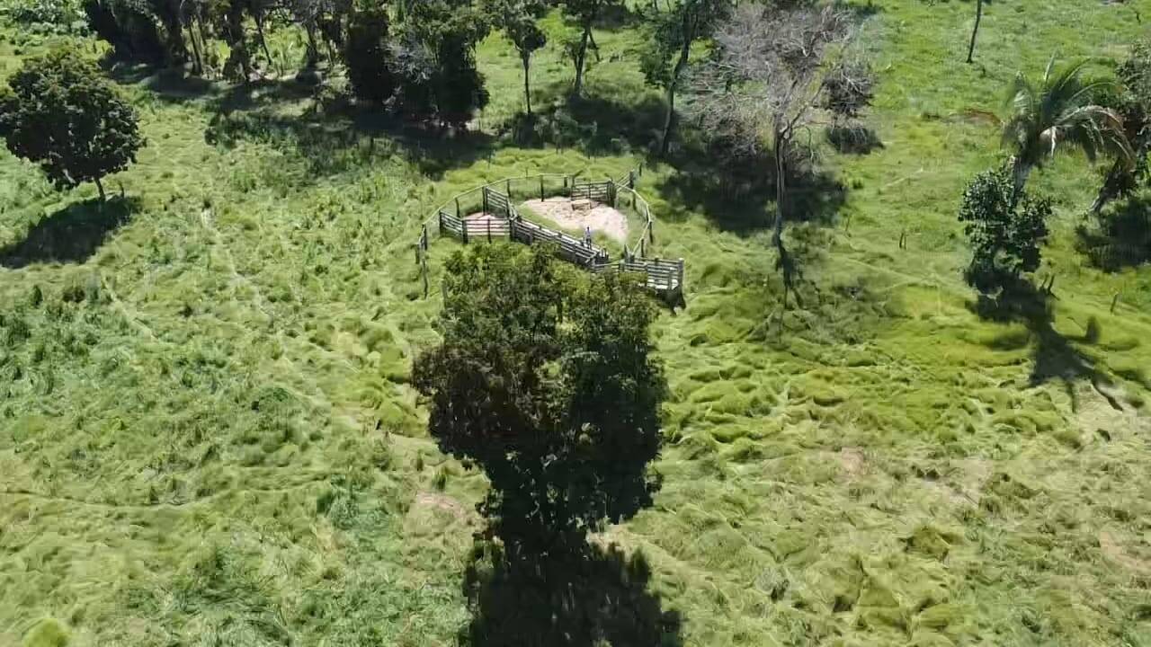 Sítio, 2 quartos, 12 m² - Foto 33