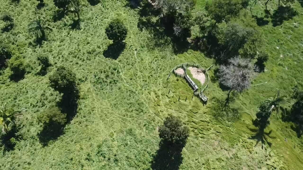 Sítio, 2 quartos, 12 m² - Foto 36