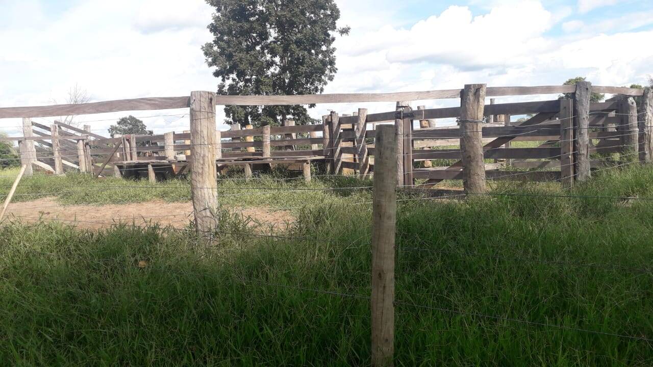 Sítio, 2 quartos, 12 m² - Foto 50