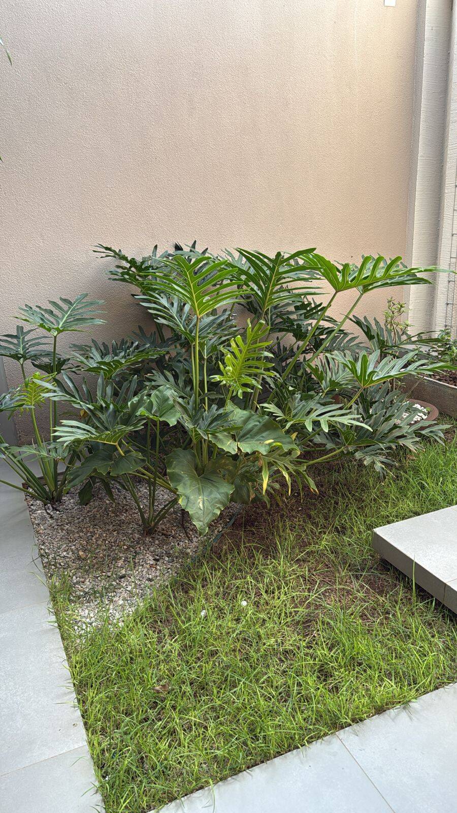 Casa, 3 quartos, 177 m² - Foto 58