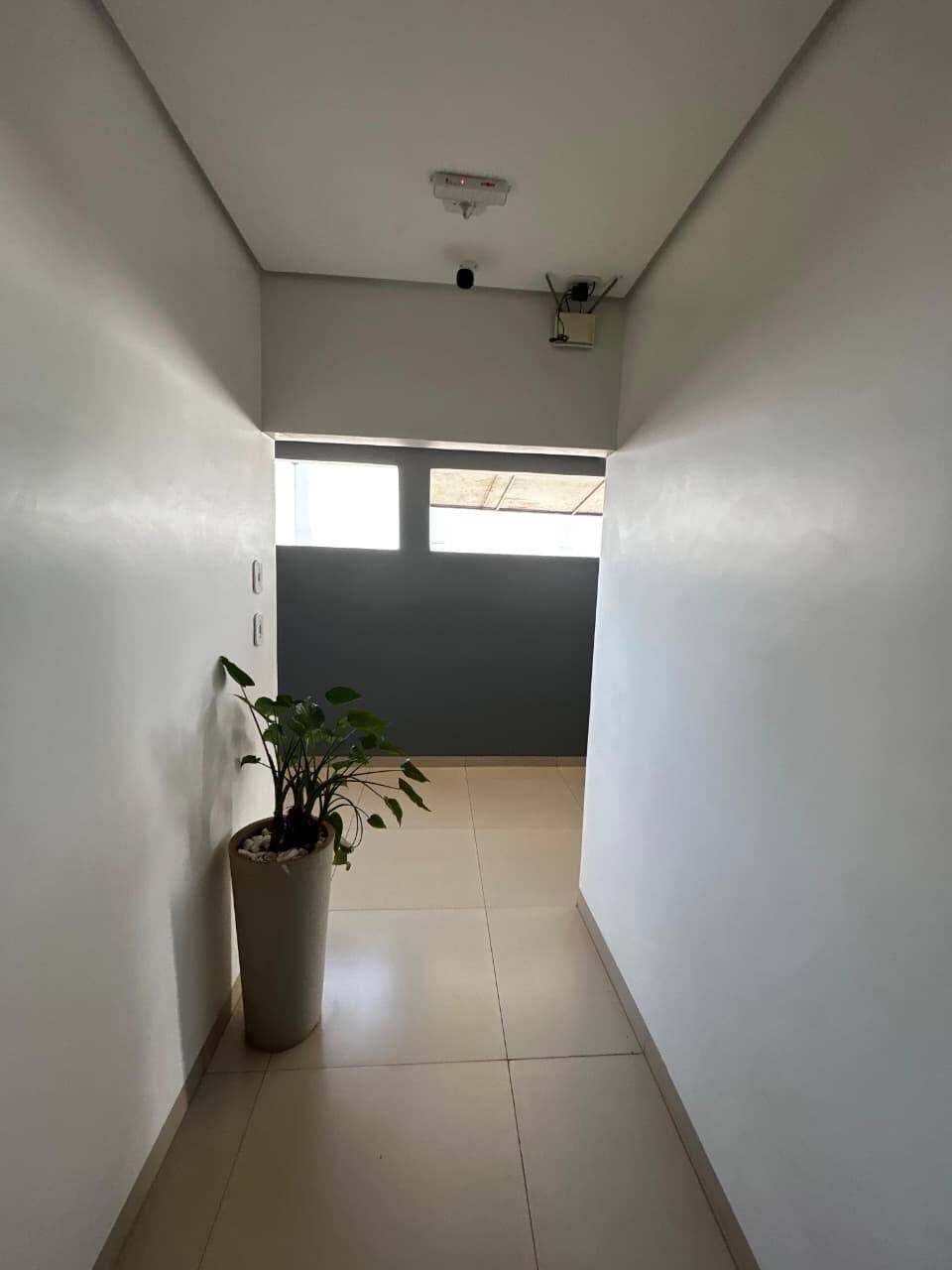 Sala-Conjunto, 450 m² - Foto 2