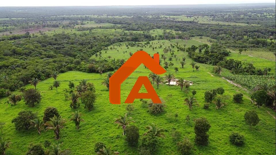 Sítio, 2 quartos, 12 m² - Foto 6