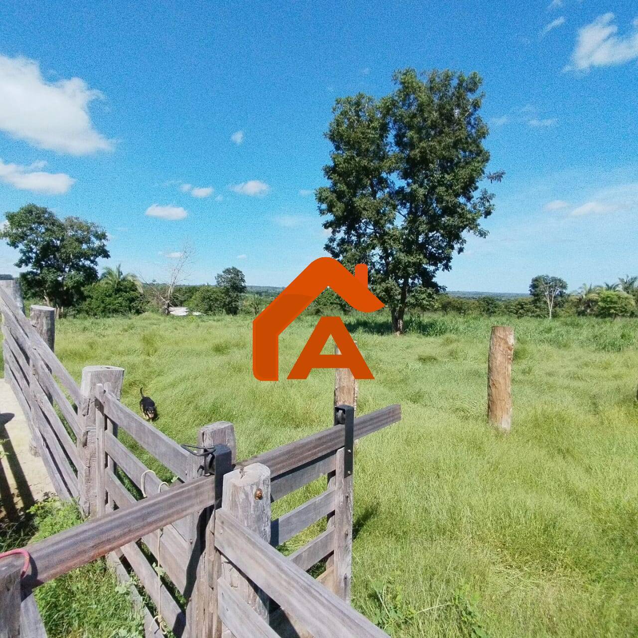 Sítio, 2 quartos, 12 m² - Foto 9