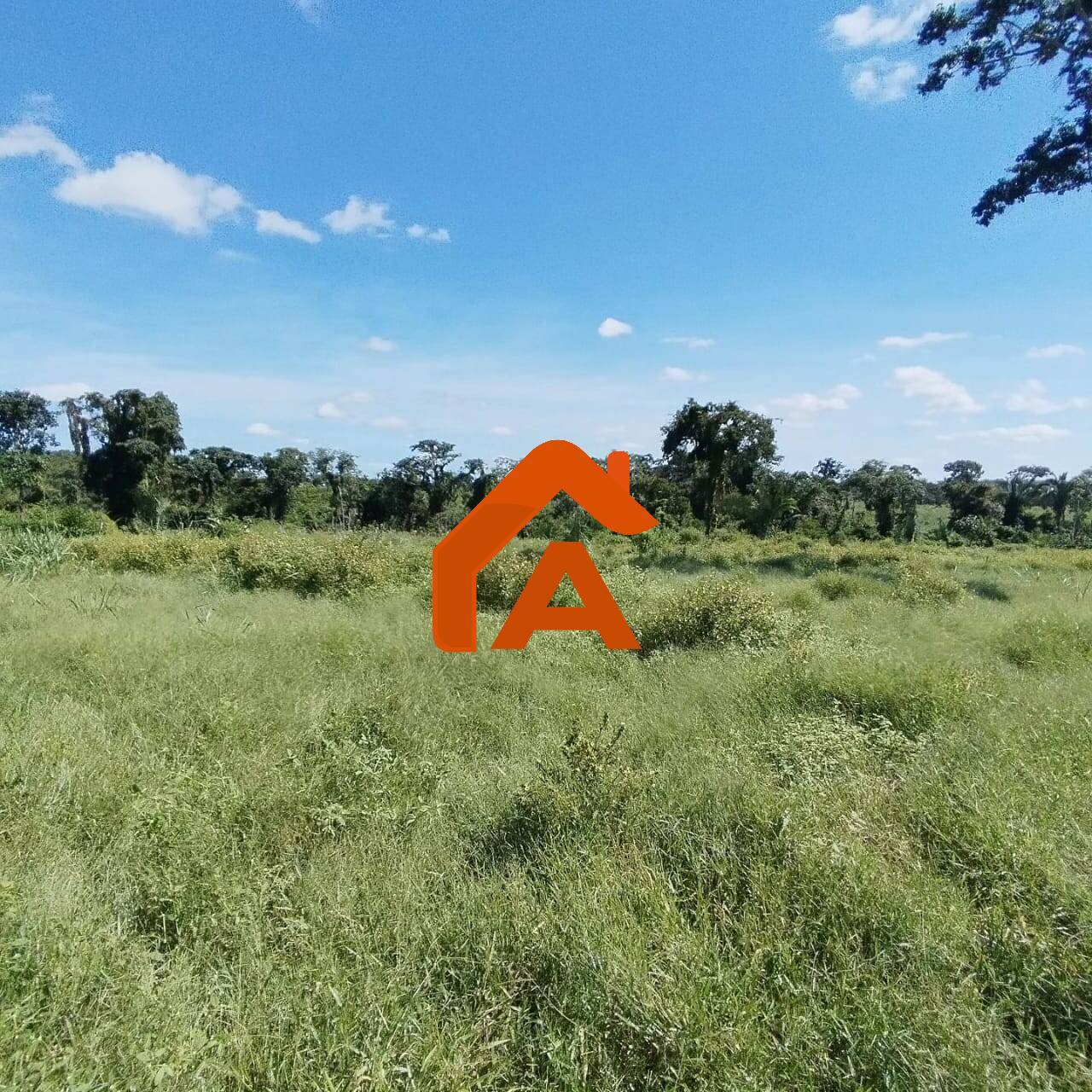 Sítio, 2 quartos, 12 m² - Foto 10