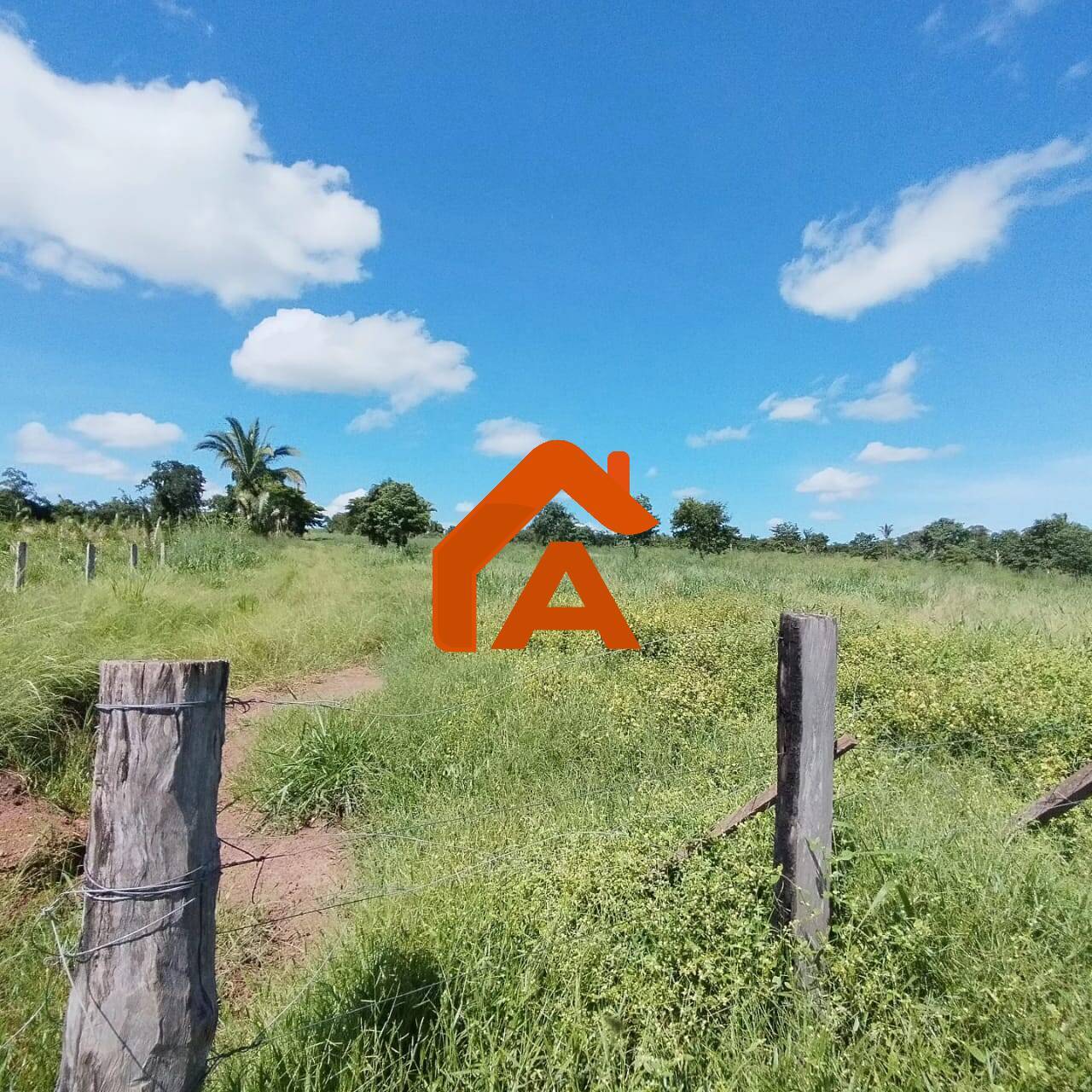 Sítio, 2 quartos, 12 m² - Foto 16