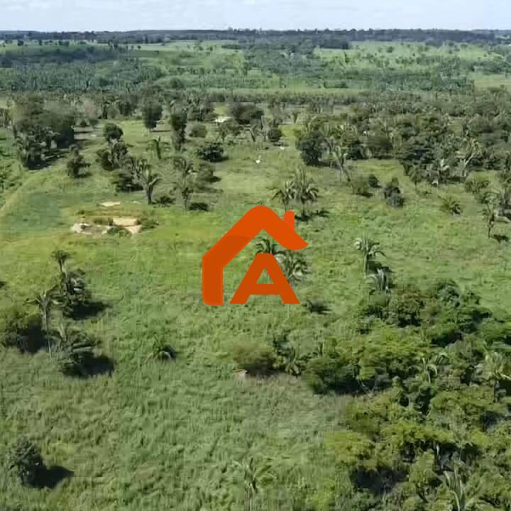 Sítio, 2 quartos, 12 m² - Foto 14