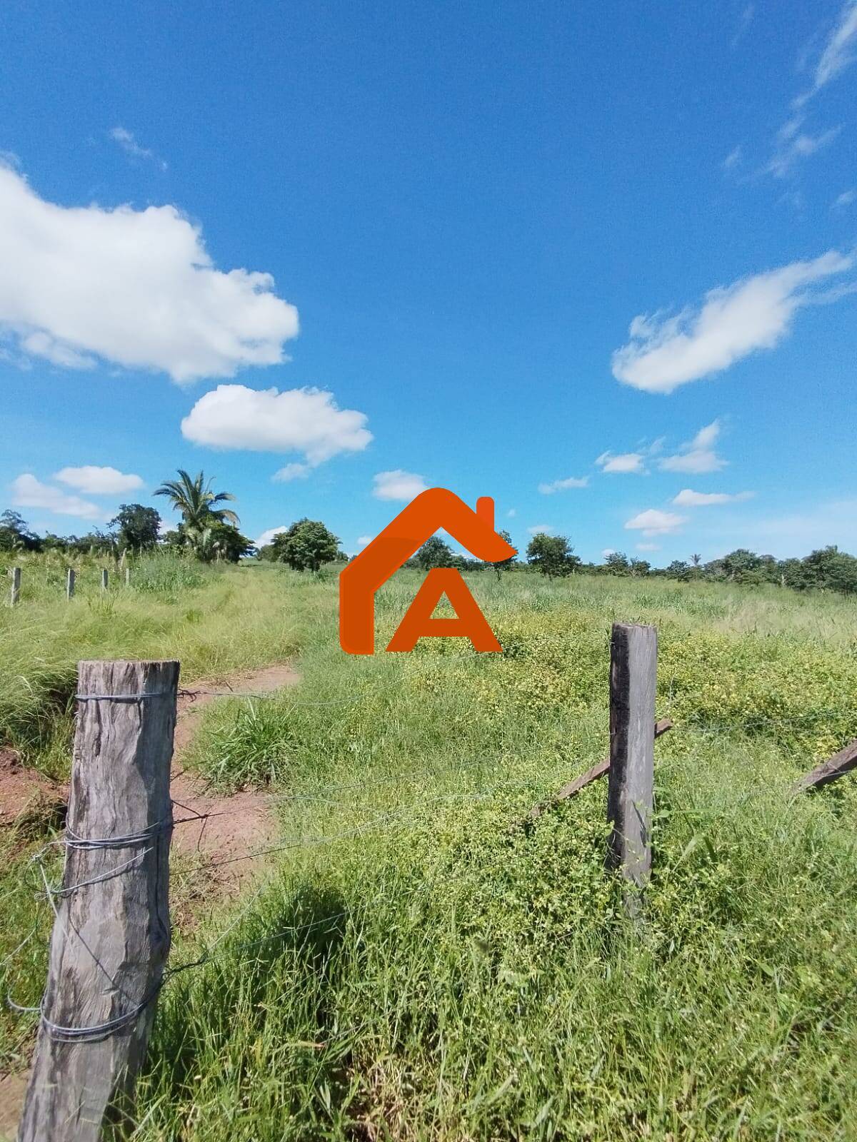 Sítio, 2 quartos, 12 m² - Foto 22