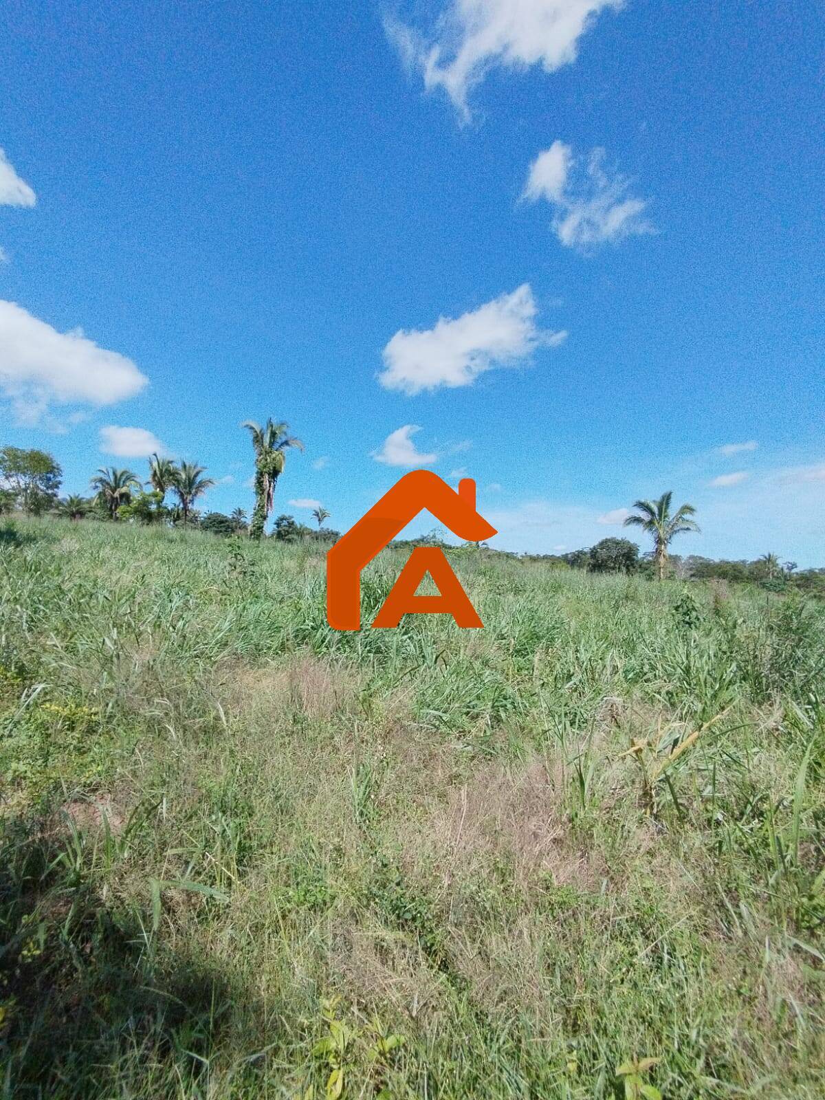 Sítio, 2 quartos, 12 m² - Foto 23