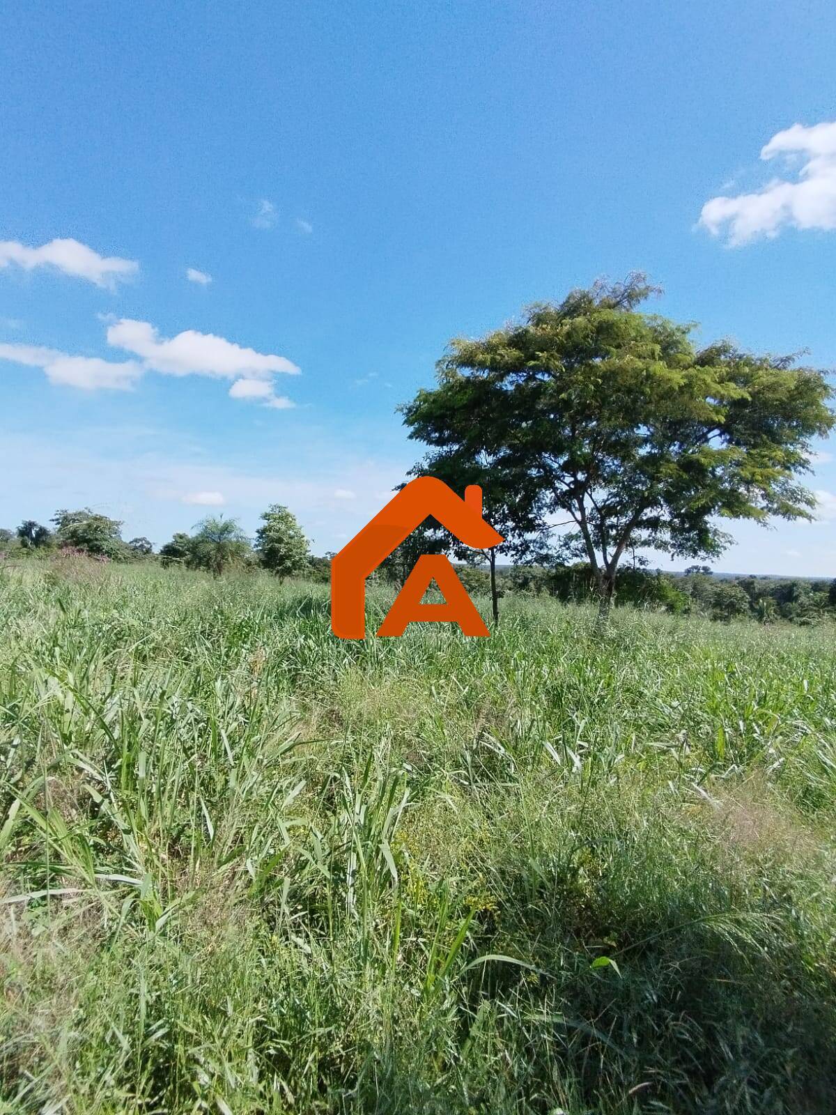 Sítio, 2 quartos, 12 m² - Foto 24