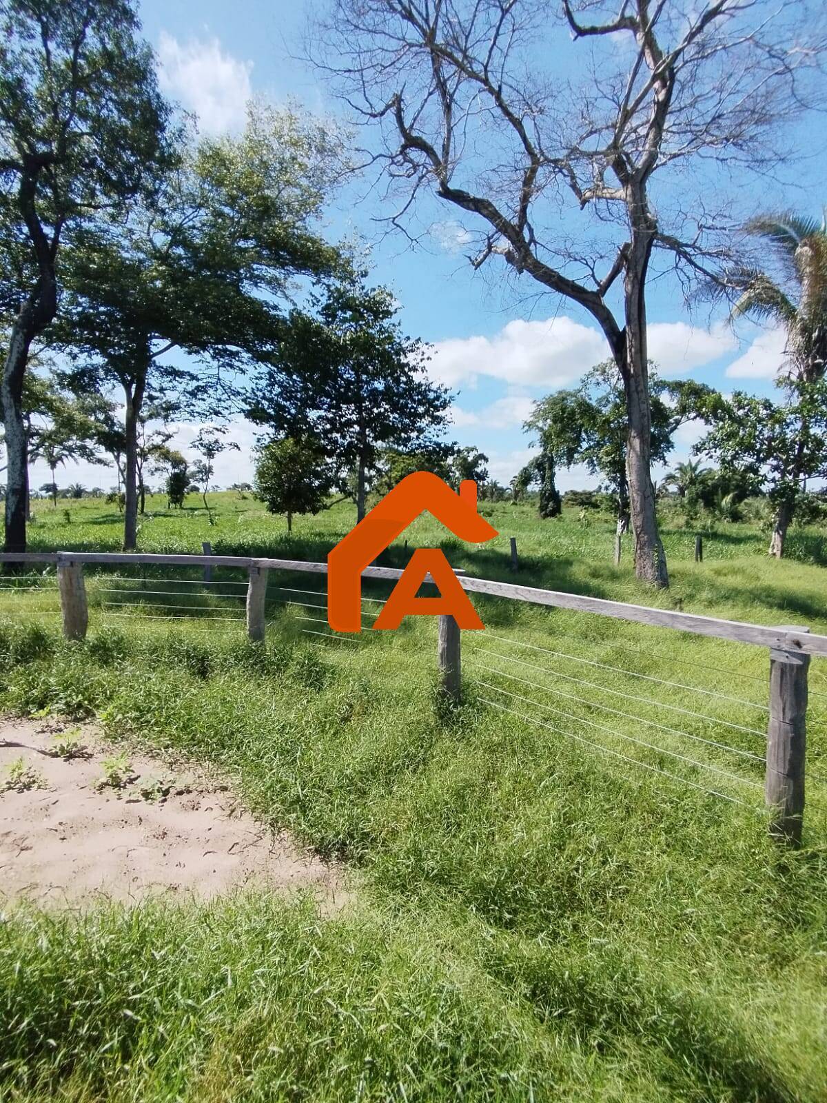 Sítio, 2 quartos, 12 m² - Foto 26