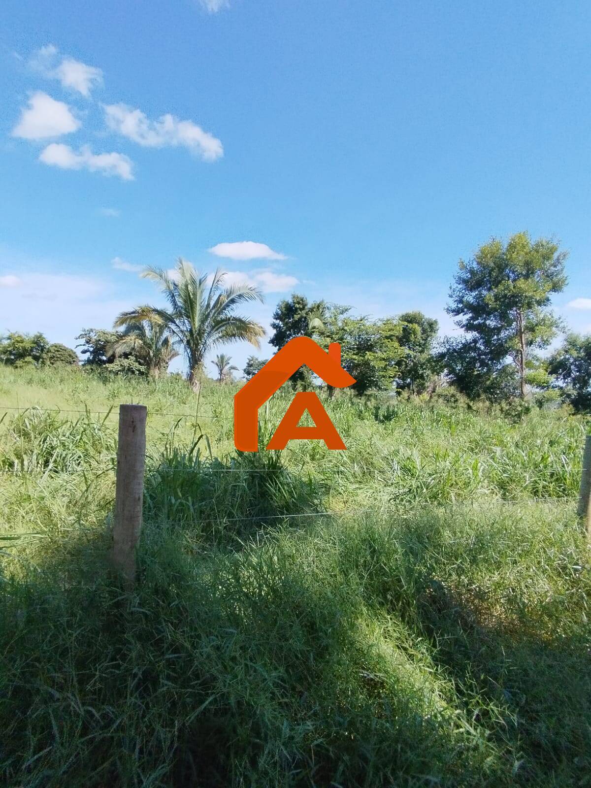 Sítio, 2 quartos, 12 m² - Foto 28