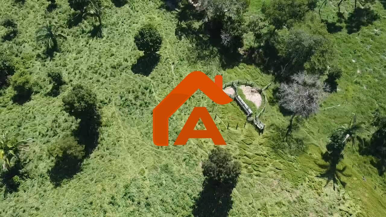 Sítio, 2 quartos, 12 m² - Foto 35