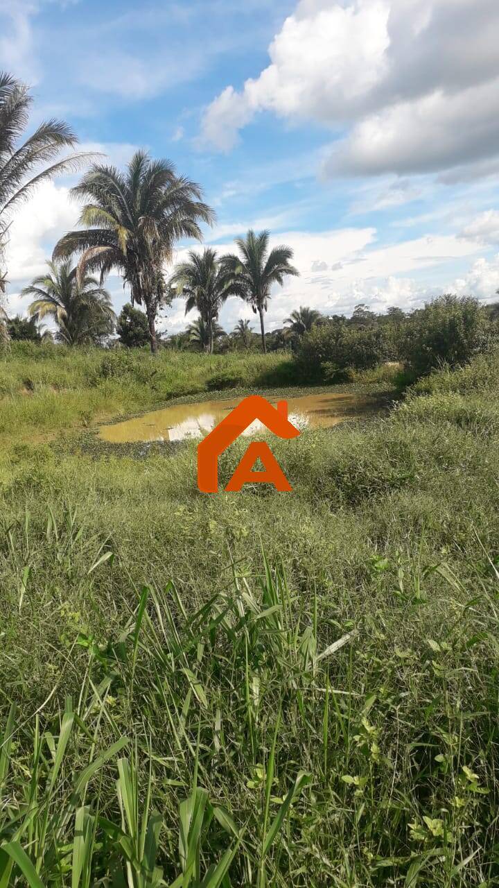 Sítio, 2 quartos, 12 m² - Foto 48