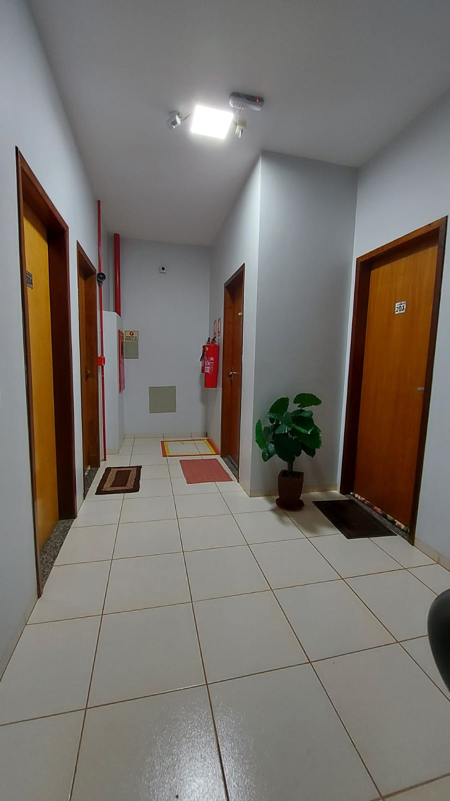 Apartamento, 3 quartos - Foto 2