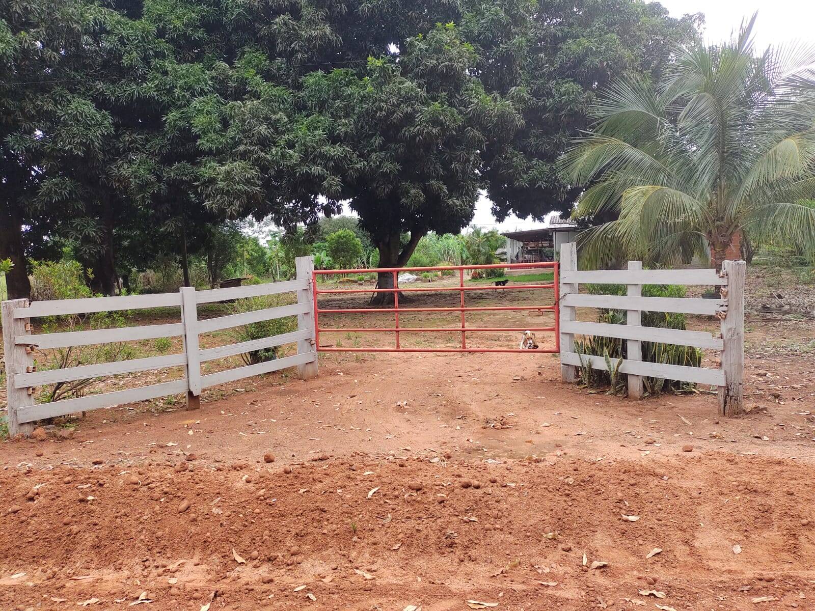 Chácara, 4 quartos, 10000 m² - Foto 1