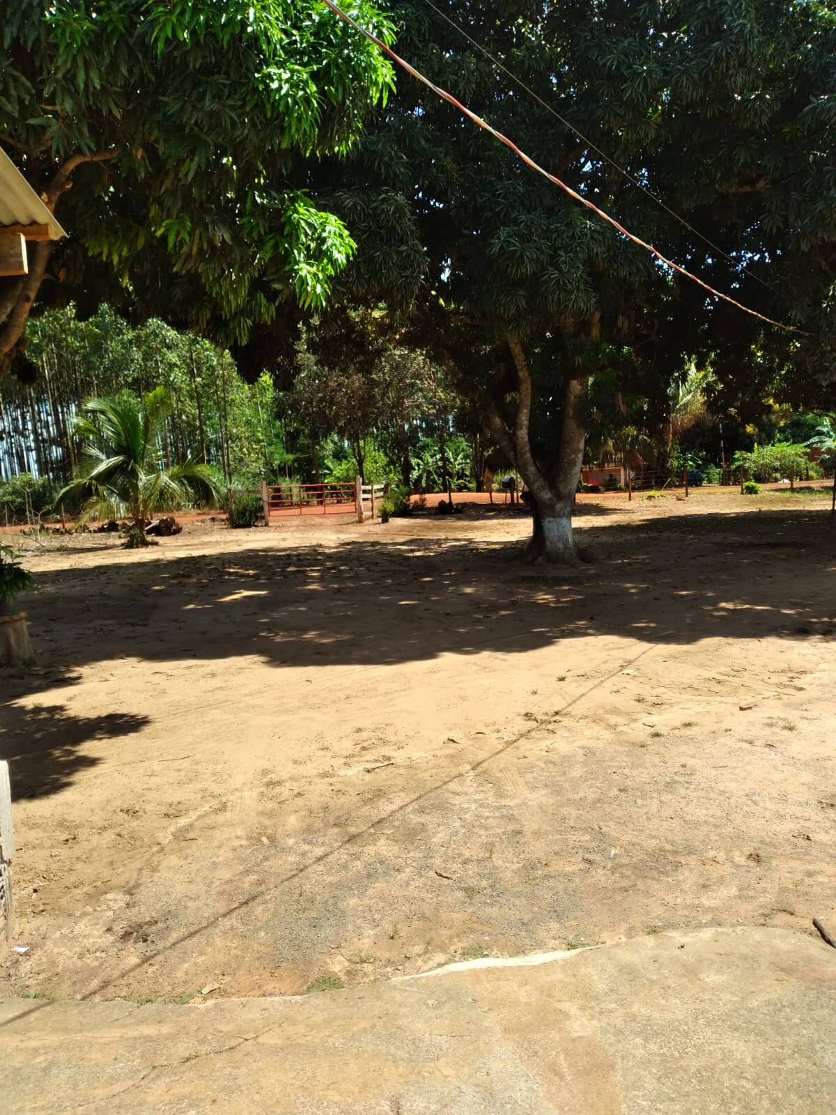 Chácara, 4 quartos, 10000 m² - Foto 4