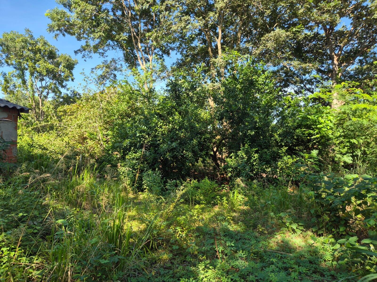Terreno, 9 m² - Foto 3