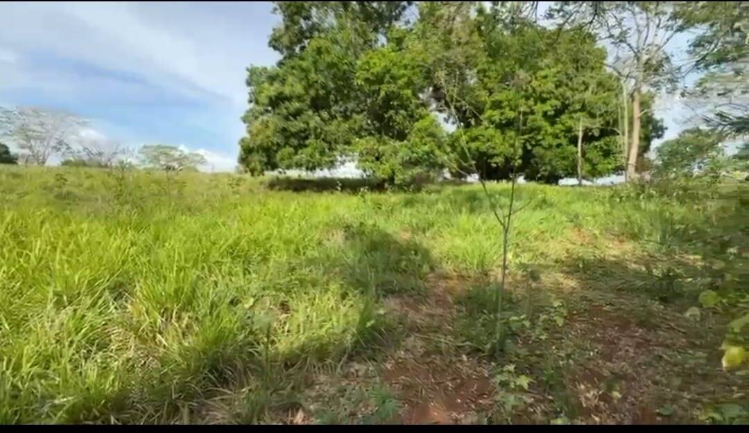 Terreno, 16 m² - Foto 2