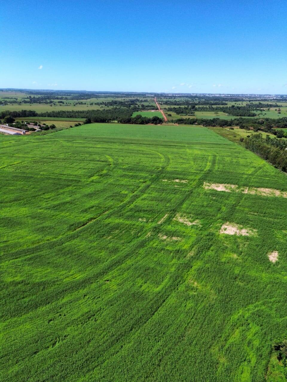 Terreno, 38 hectares - Foto 1