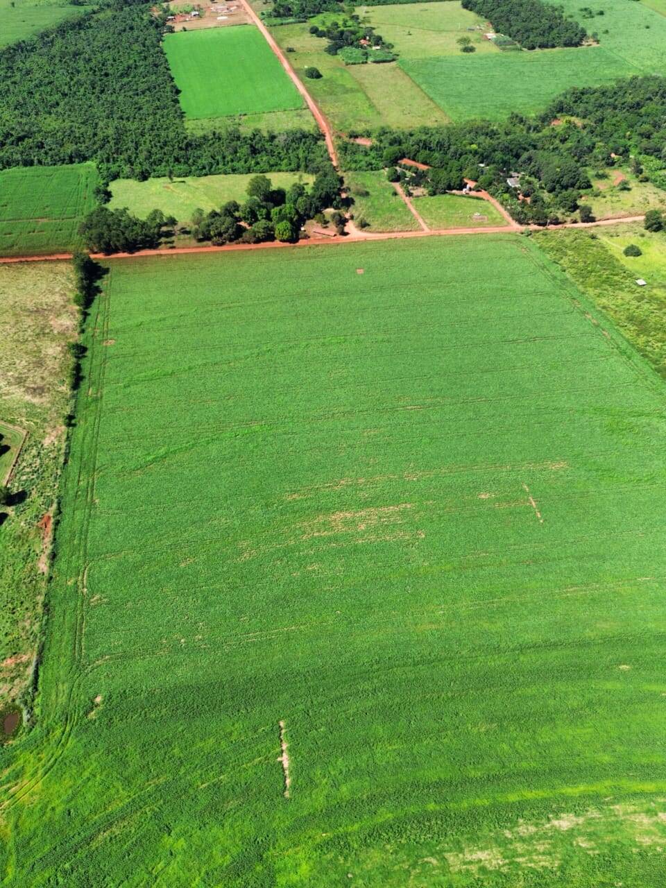 Terreno, 38 hectares - Foto 2