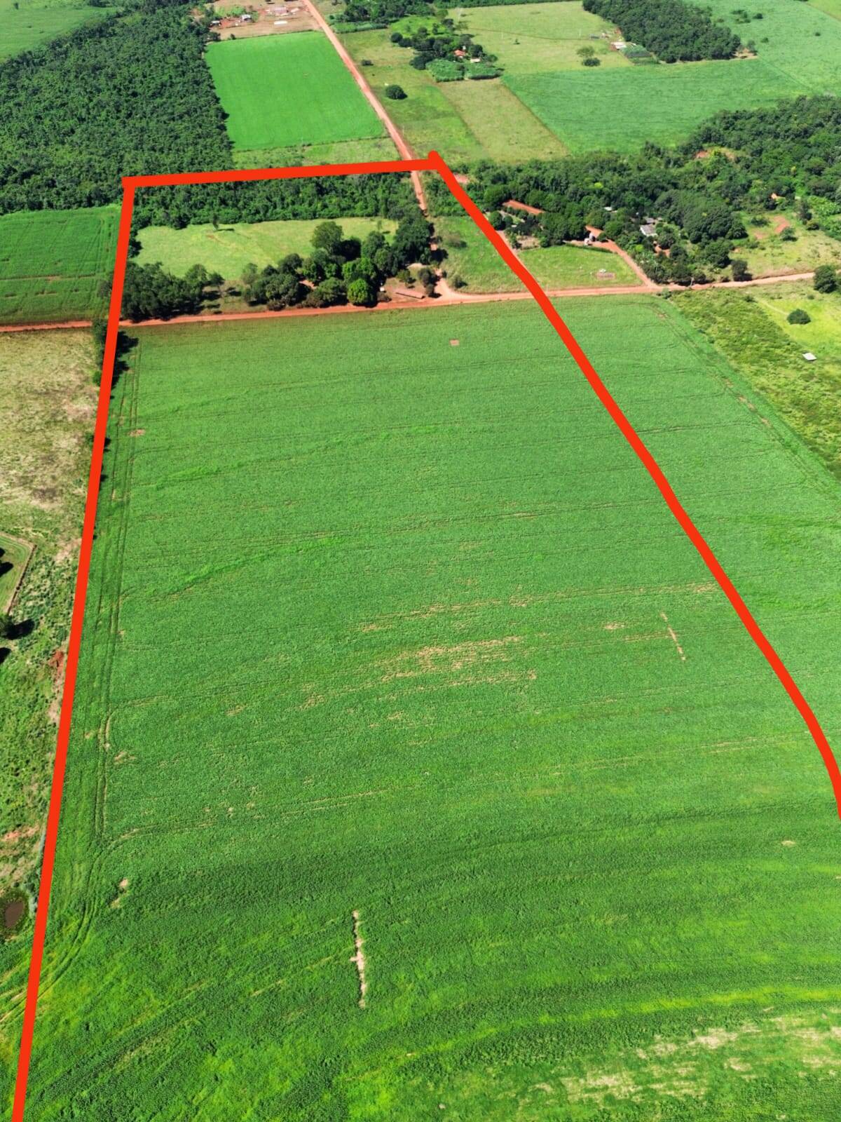 Terreno, 38 hectares - Foto 4