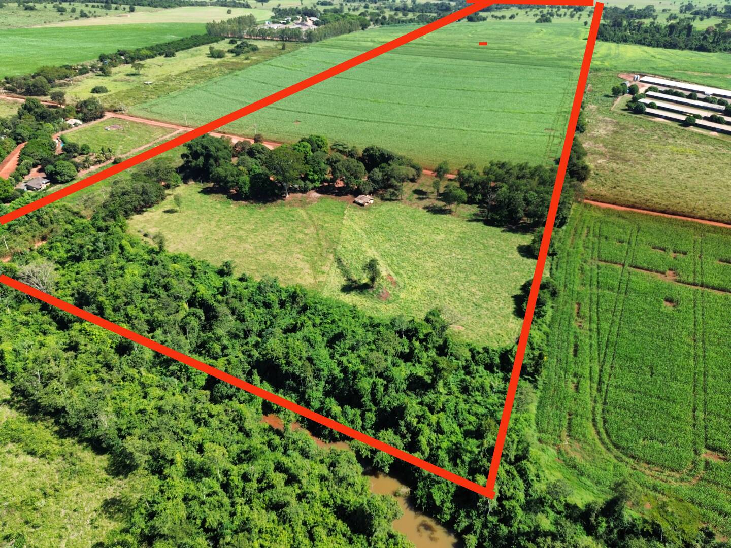 Terreno, 38 hectares - Foto 6