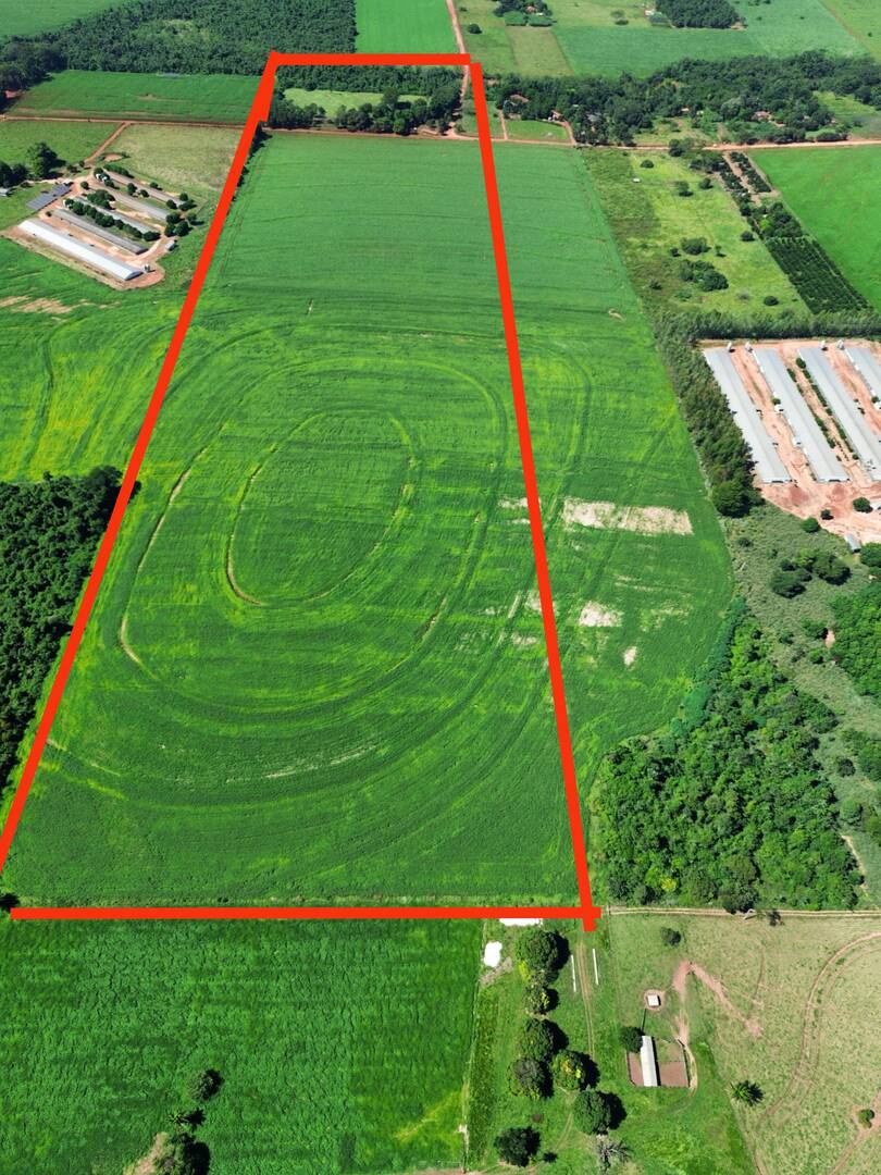 Terreno, 38 hectares - Foto 7
