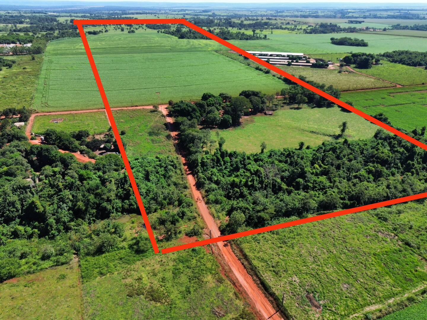 Terreno, 38 hectares - Foto 8