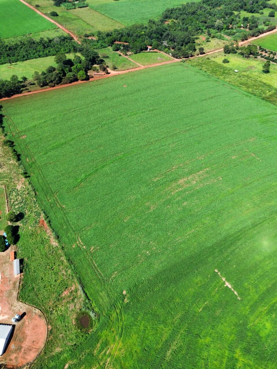 Terreno, 38 hectares - Foto 9