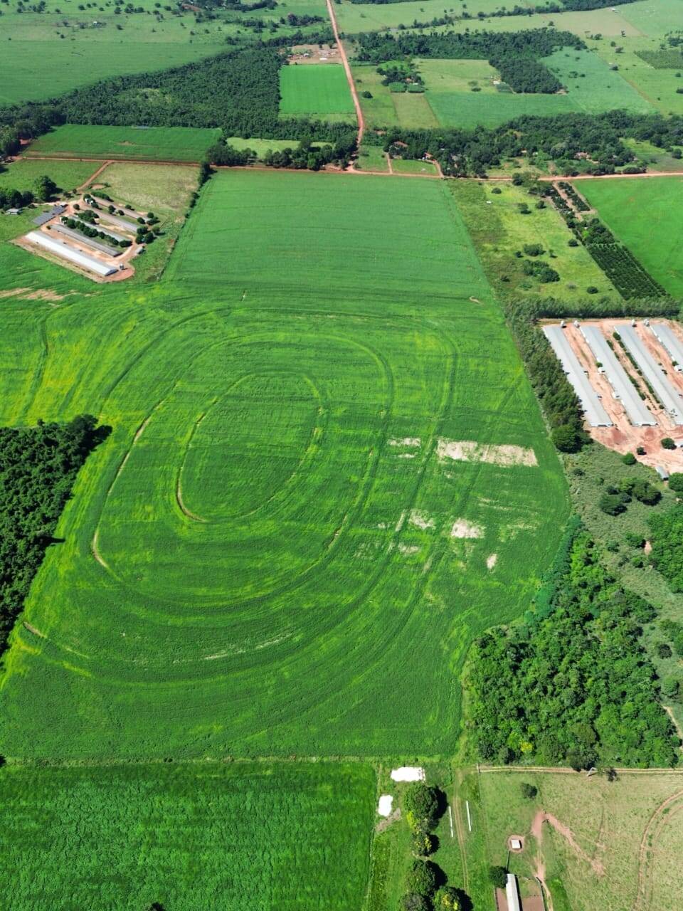 Terreno, 38 hectares - Foto 10