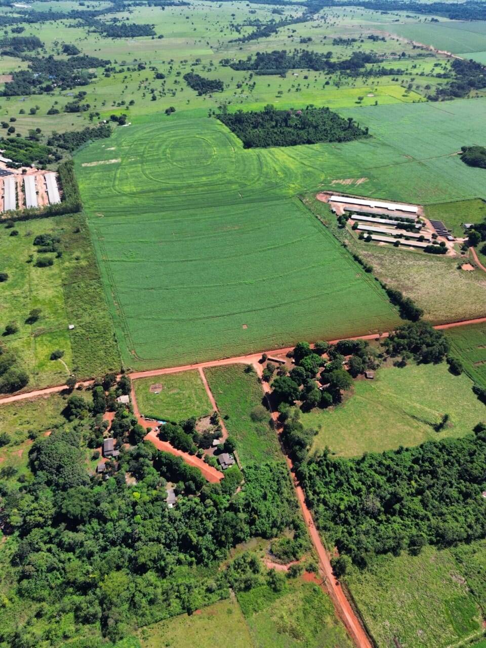 Terreno, 38 hectares - Foto 11