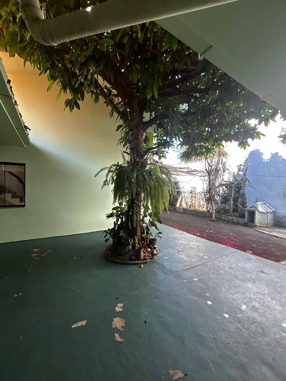 Casa, 3 quartos - Foto 19