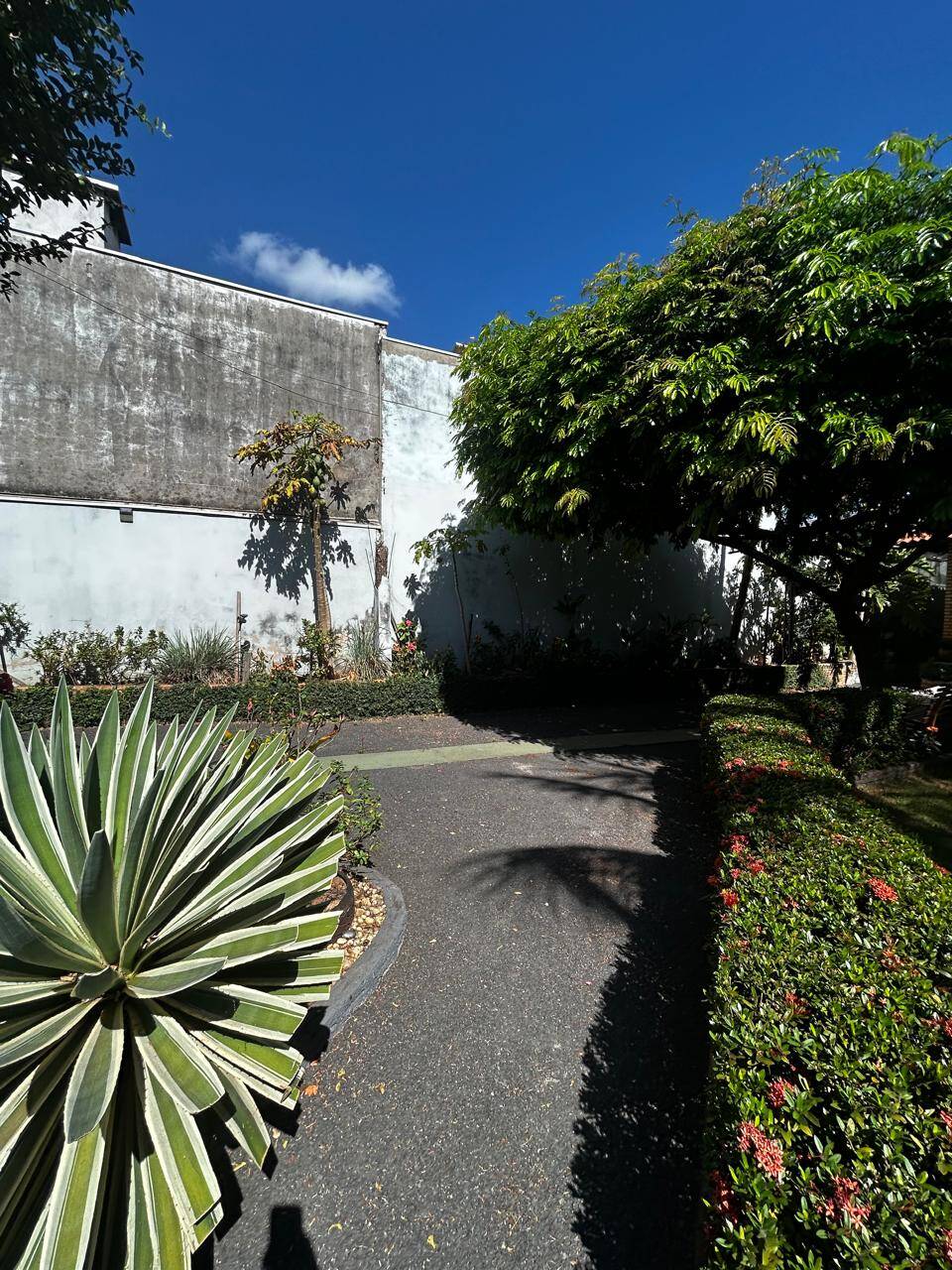 Casa, 3 quartos - Foto 21