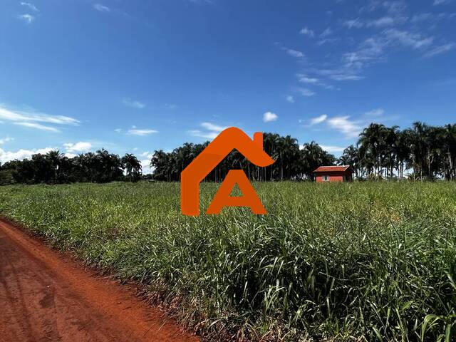 Chácara para Venda em Tangará da Serra - 4