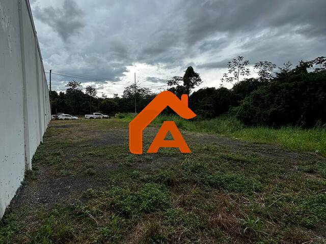 Área para Venda em Tangará da Serra - 5