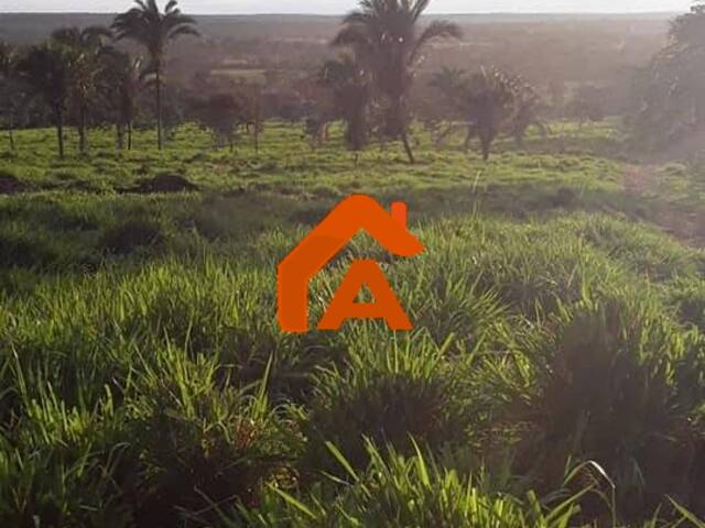 #216 - Chácara para Venda em Tangará da Serra - MT