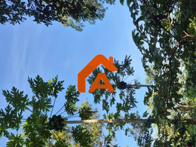 #303 - Chácara para Venda em Tangará da Serra - MT