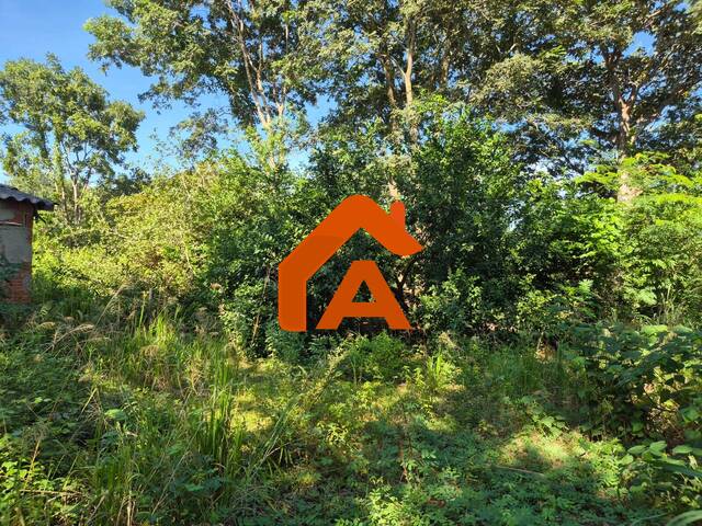 #303 - Chácara para Venda em Tangará da Serra - MT